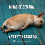 Todos los días se sienten como un…”Estoy cansado, jefe…” 😴